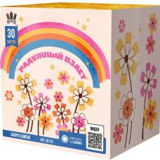 SB178 Сибирь Радужный взлёт 30*1,2
